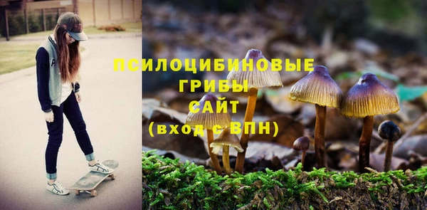 твердый Баксан