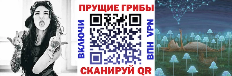 купить наркотики сайты  Белёв  Псилоцибиновые грибы Psilocybe 