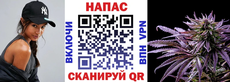 продажа наркотиков  Белёв  omg ТОР  МАРИХУАНА конопля 
